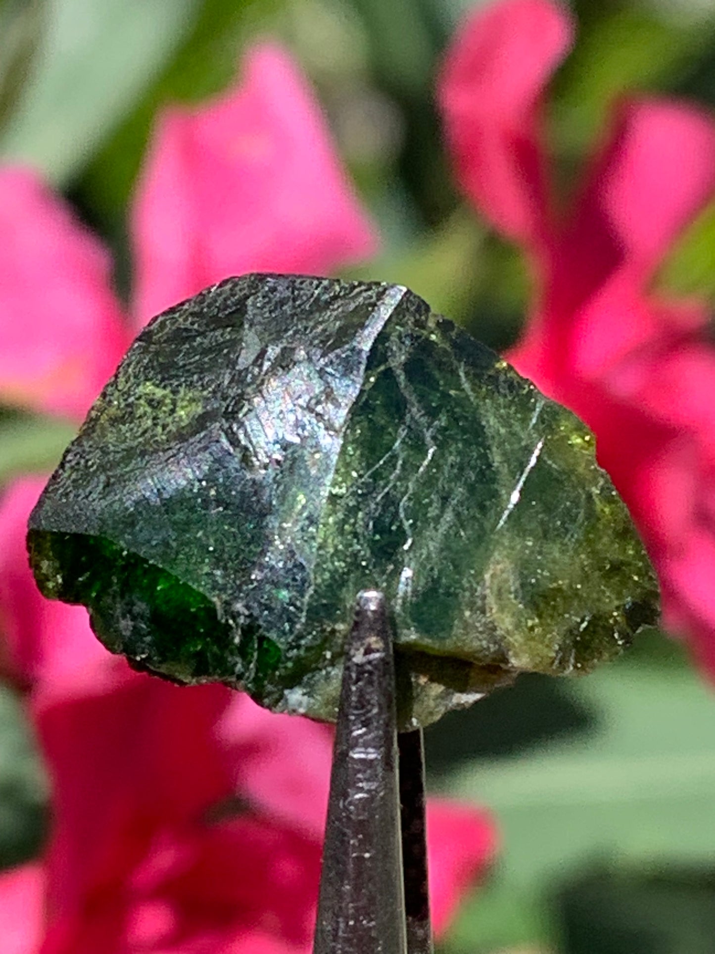 Vésuvianite dit aussi Idocrase (peu connue), spécimen de 19 mm x 14 x 8 - 2 grammes ! Superbe petite pièce !