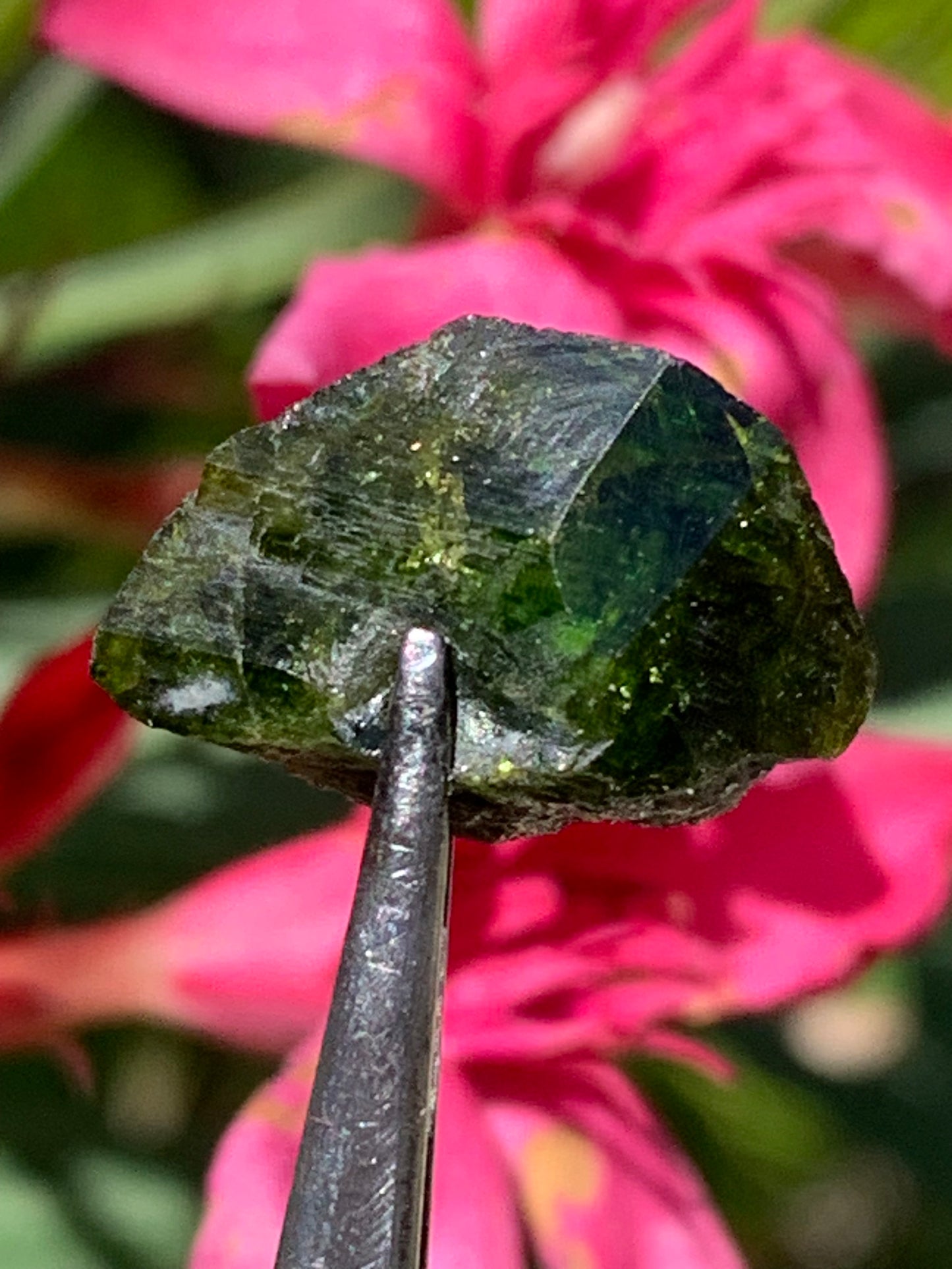 Vésuvianite dit aussi Idocrase (peu connue), spécimen de 19 mm x 14 x 8 - 2 grammes ! Superbe petite pièce !