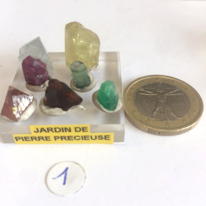 The 'Crystal Gardens' concept features 3 unique kits to choose from. These valuable crystals are renowned for their gem-like qualities, colors, and shapes. These are nature's little wonders!