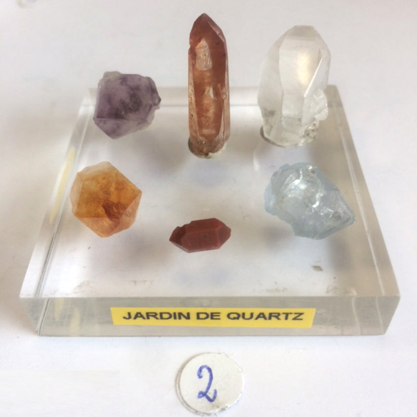 The 'Crystal Gardens' concept features 3 unique kits to choose from. These valuable crystals are renowned for their gem-like qualities, colors, and shapes. These are nature's little wonders!