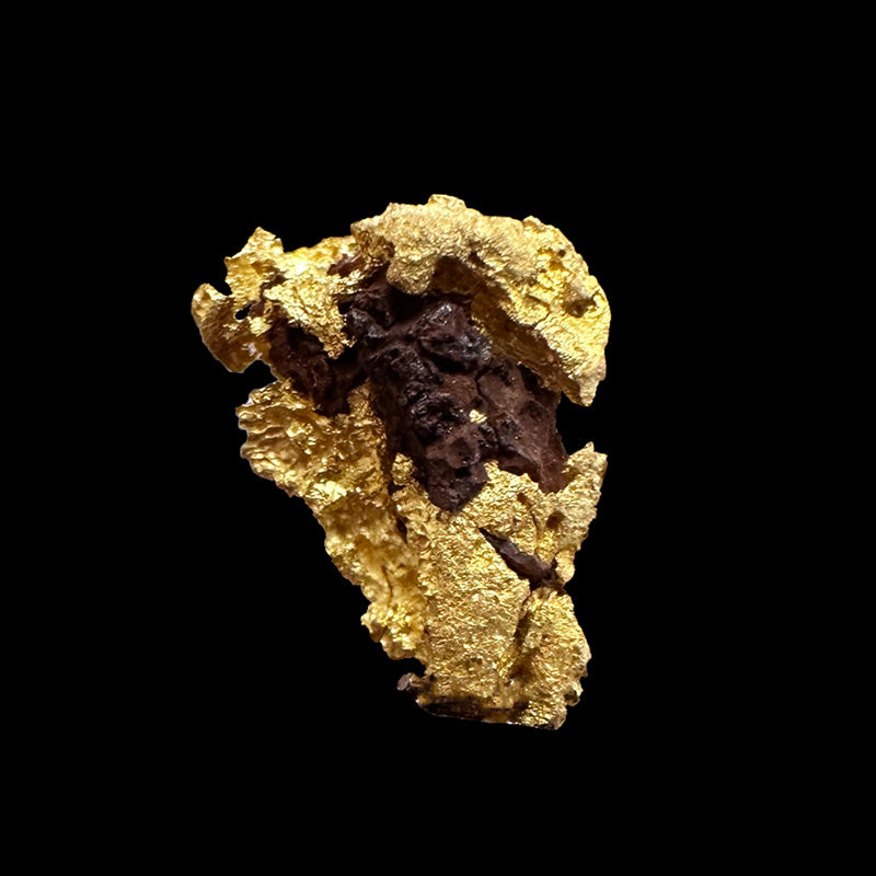 Native gold from the Laverton mine in Australia, 4 nuggets to choose from, very beautiful mineralogy pieces. Rare!