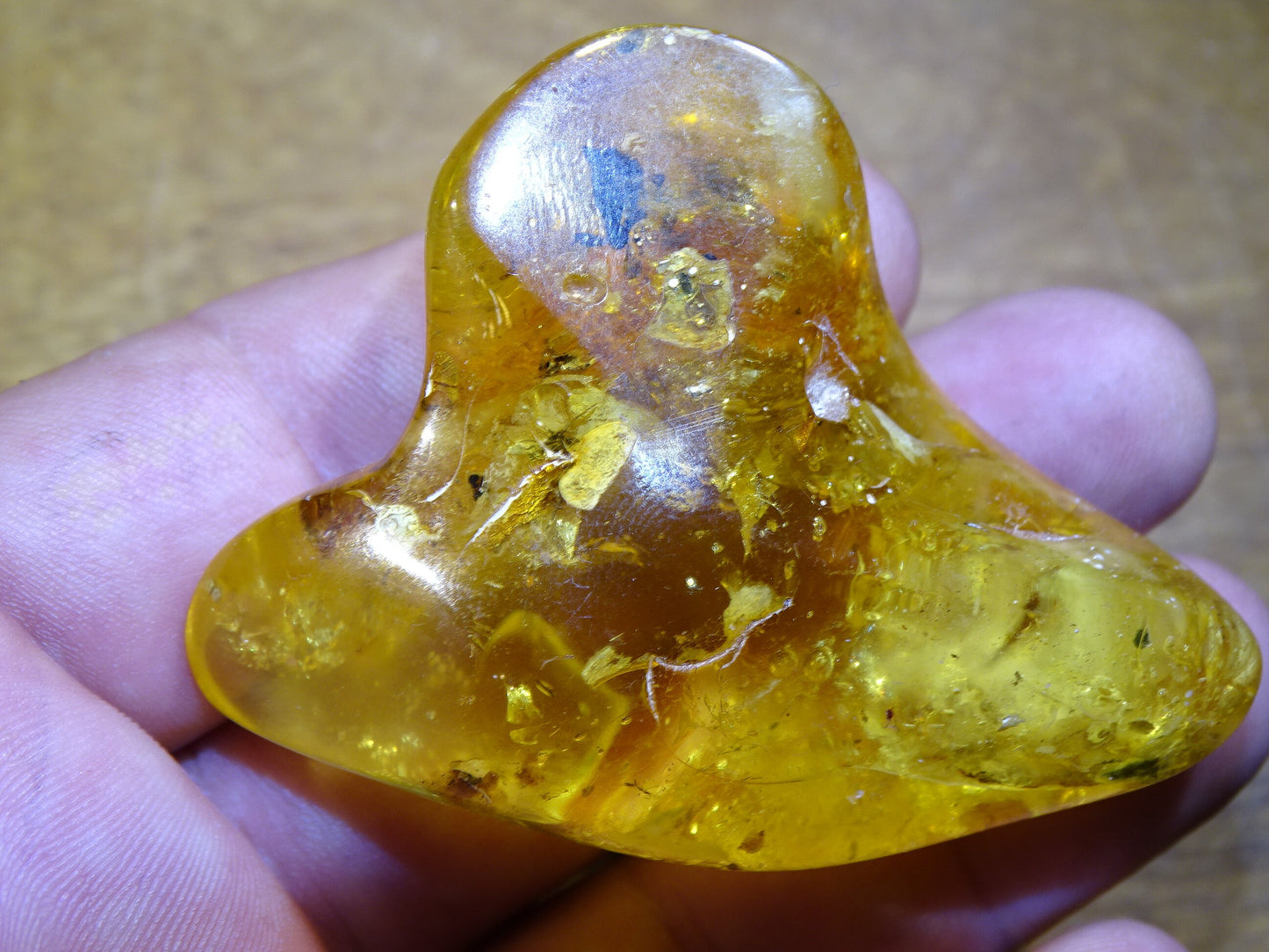 Ambre de la mer Baltique, 65mm x 48 x 27 - 31,2 grammes. Très belle qualité, superbe pièce de belle taille avec inclusions !