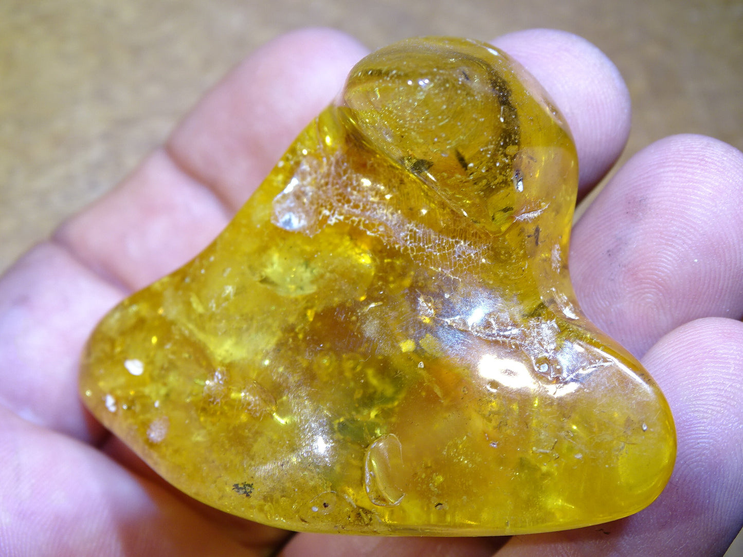 Ambre de la mer Baltique, 65mm x 48 x 27 - 31,2 grammes. Très belle qualité, superbe pièce de belle taille avec inclusions !