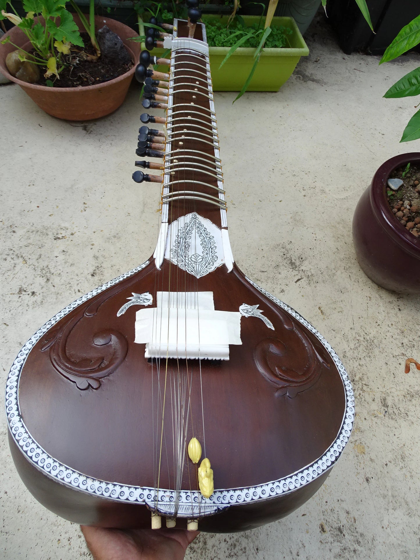 SITAR INDIEN avec Tumba, modèle neuf, prêt à jouer - 11 cordes sympathique + 7 cordes de jeux !