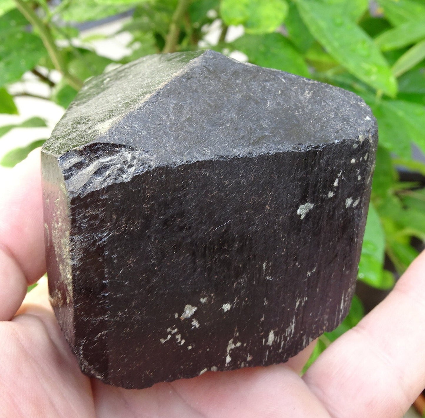 Tourmaline noire, spécimen naturel à 3 faces de 80 x 65 x 70 mm - 555 grammes. Une très belle et unique pièce !
