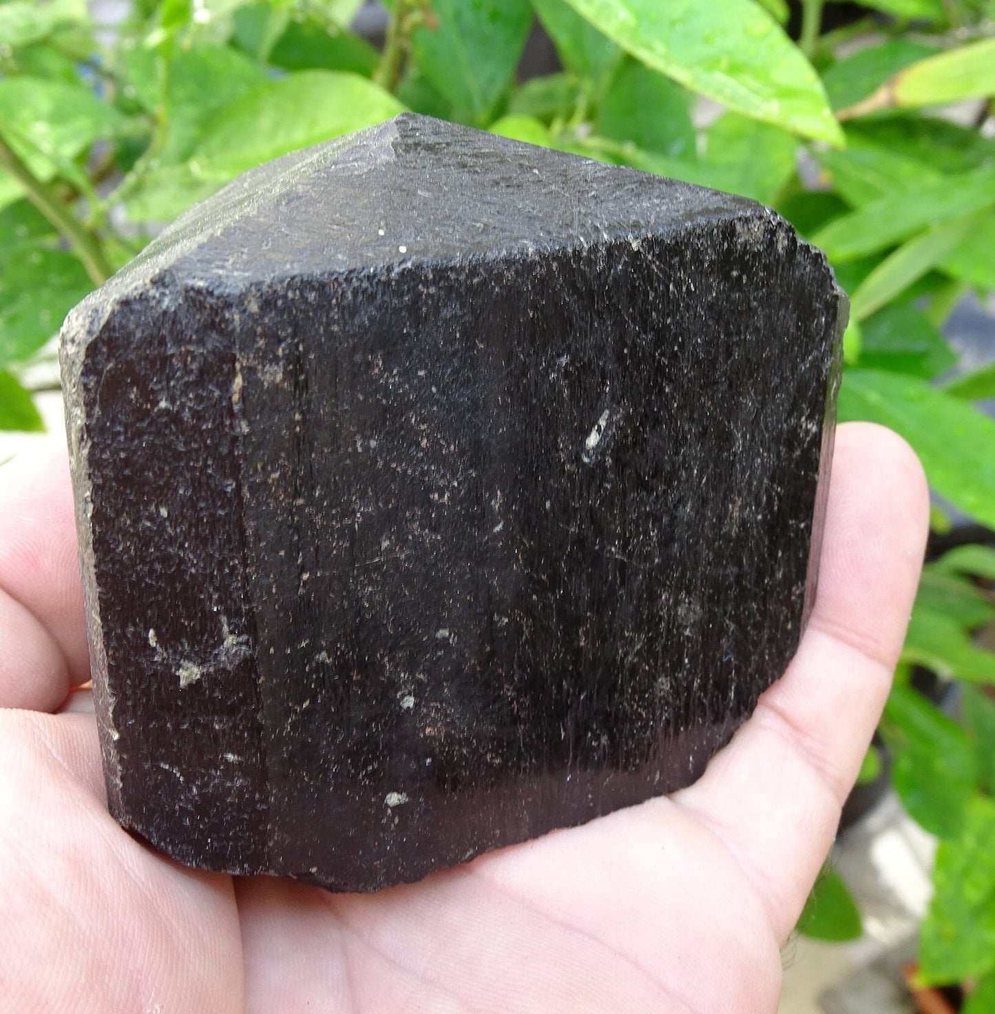 Tourmaline noire, spécimen naturel à 3 faces de 80 x 65 x 70 mm - 555 grammes. Une très belle et unique pièce !