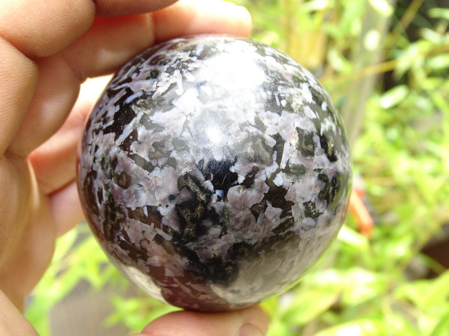 Sélection de sphères en Merlinite/ Gabbro, de 5,7 à 7,8 centimètres. Parfait pour la lithothérapie, collection, exposition...!