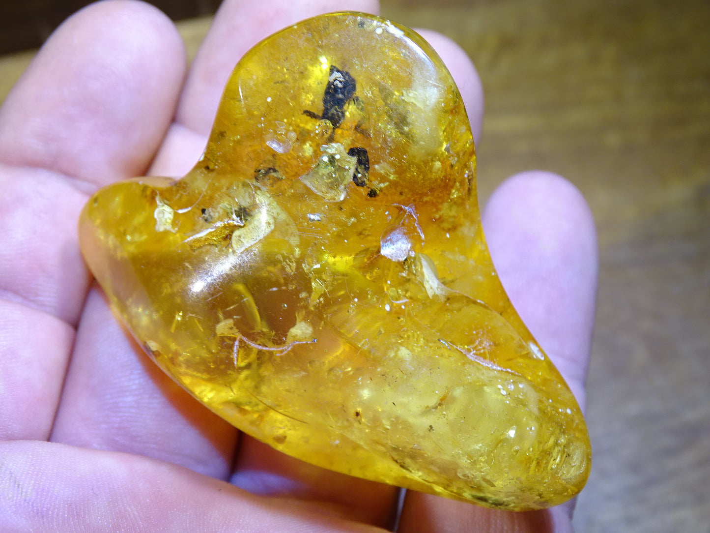 Ambre de la mer Baltique, 65mm x 48 x 27 - 31,2 grammes. Très belle qualité, superbe pièce de belle taille avec inclusions !