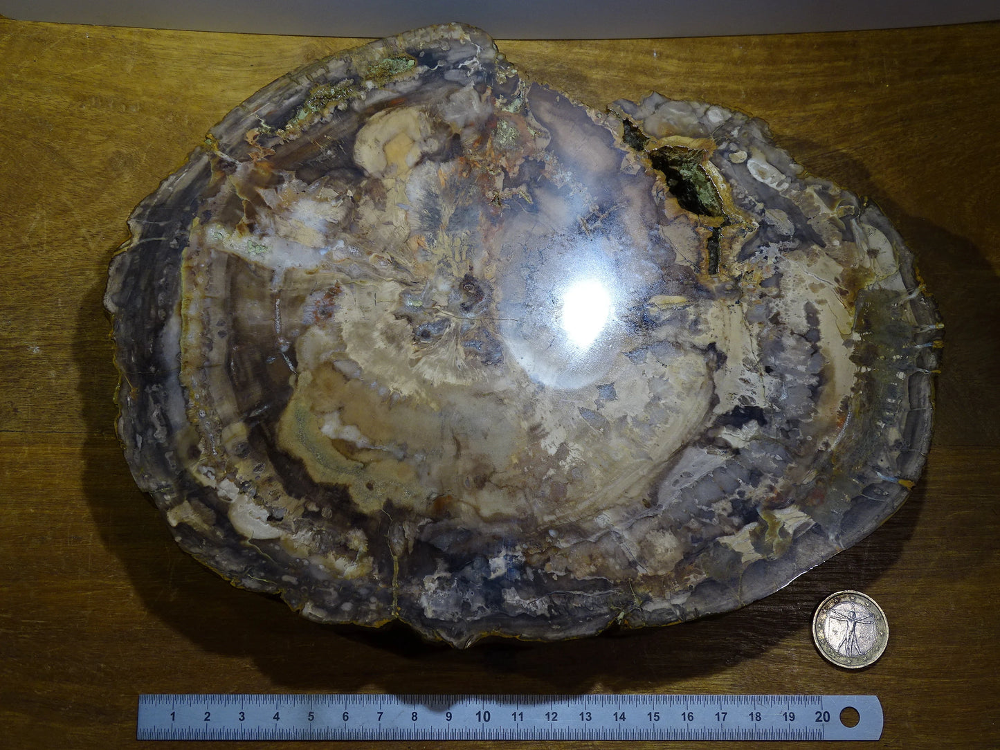 Bois fossilisé/ pétrifié, pendentif de 24,5 x 18 x 3 cm - 2,128 kgs. Parfait pour collection, exposition, lapidaire...