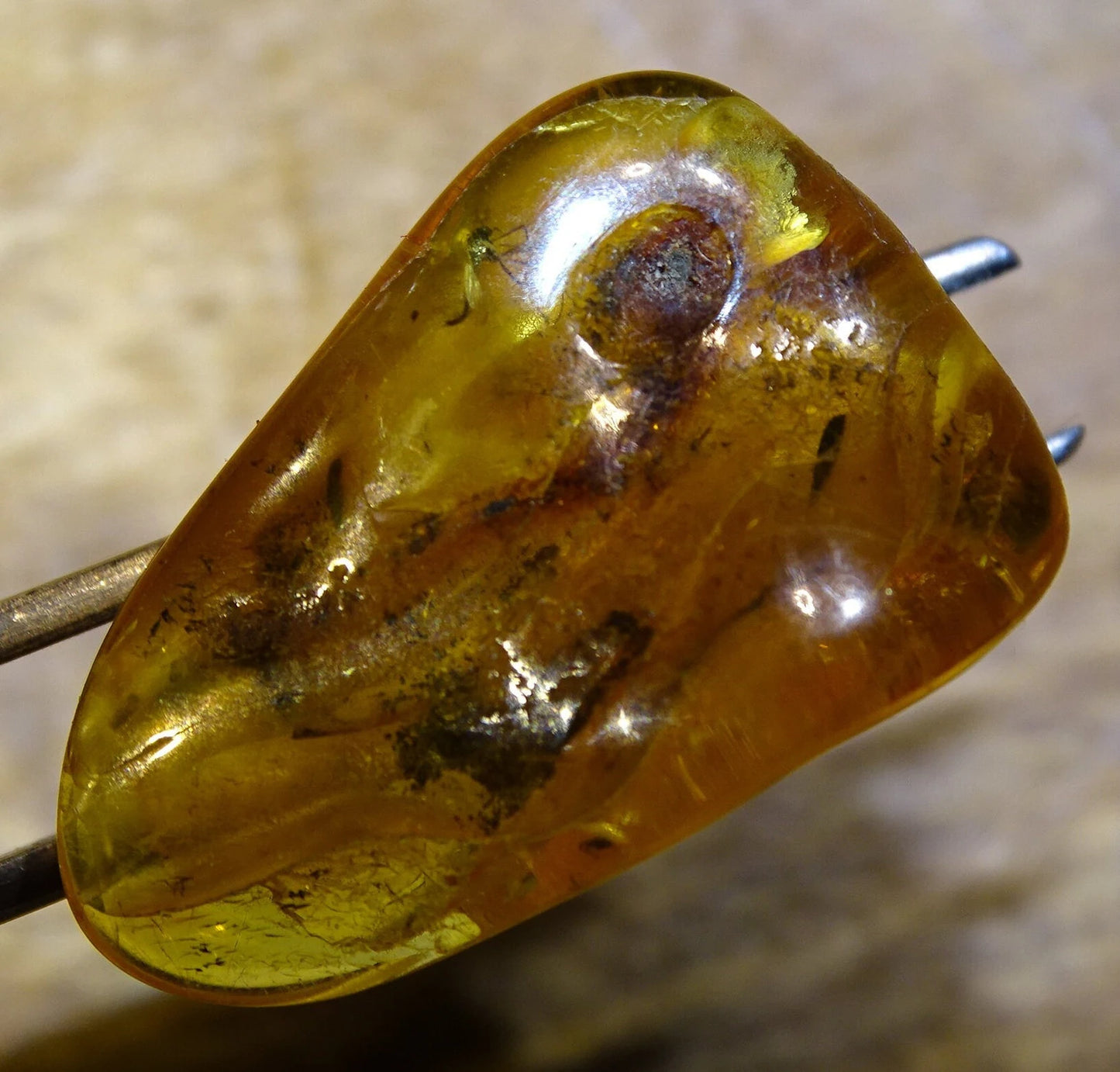 Ambre, spècimen de galet roulé avec insecte à l'intérieur, de 33x20x12 mm. Superbe pièce pour bijouterie ou collection !