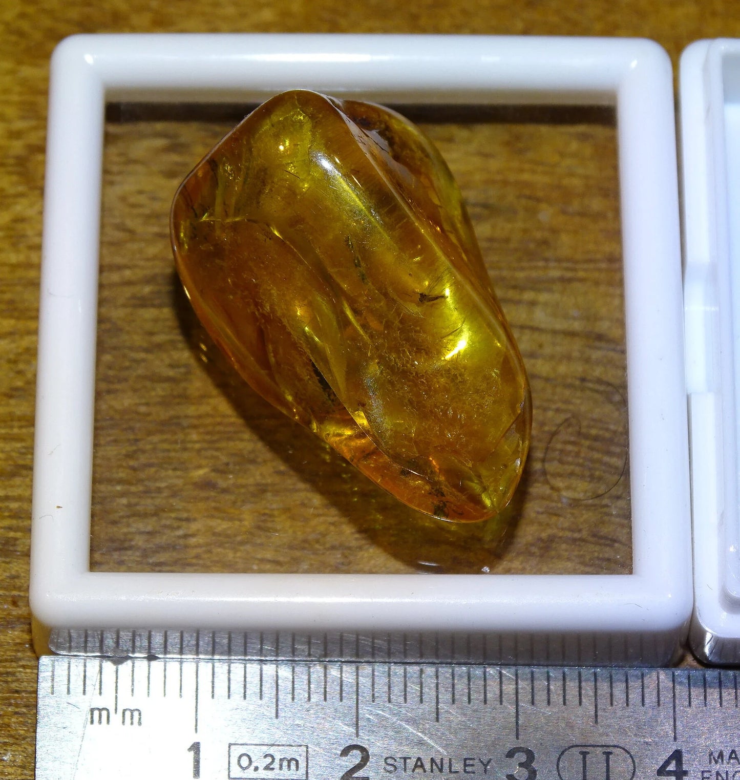 Ambre, spècimen de galet roulé avec insecte à l'intérieur, de 33x20x12 mm. Superbe pièce pour bijouterie ou collection !