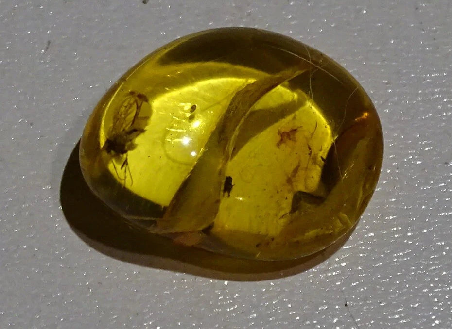 Ambre, spécimen de galet roulé avec insecte à l'intérieur, de 17x14x8 mm. Superbe pièce pour bijouterie ou collection !