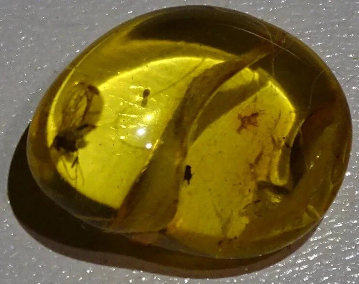 Ambre, spécimen de galet roulé avec insecte à l'intérieur, de 17x14x8 mm. Superbe pièce pour bijouterie ou collection !