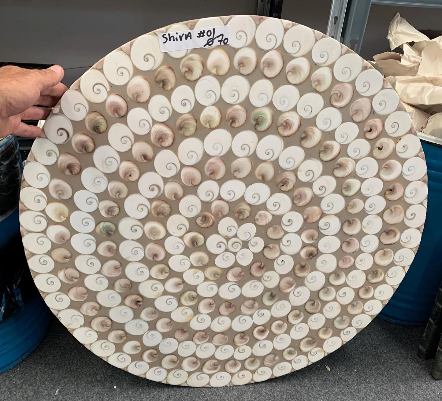 Table Ronde en coqullage (Œil de Sainte-Lucie), 70 x 3 cm. Parfait pour fabriquer la table de vos rêves ou en décoration, exposition...
