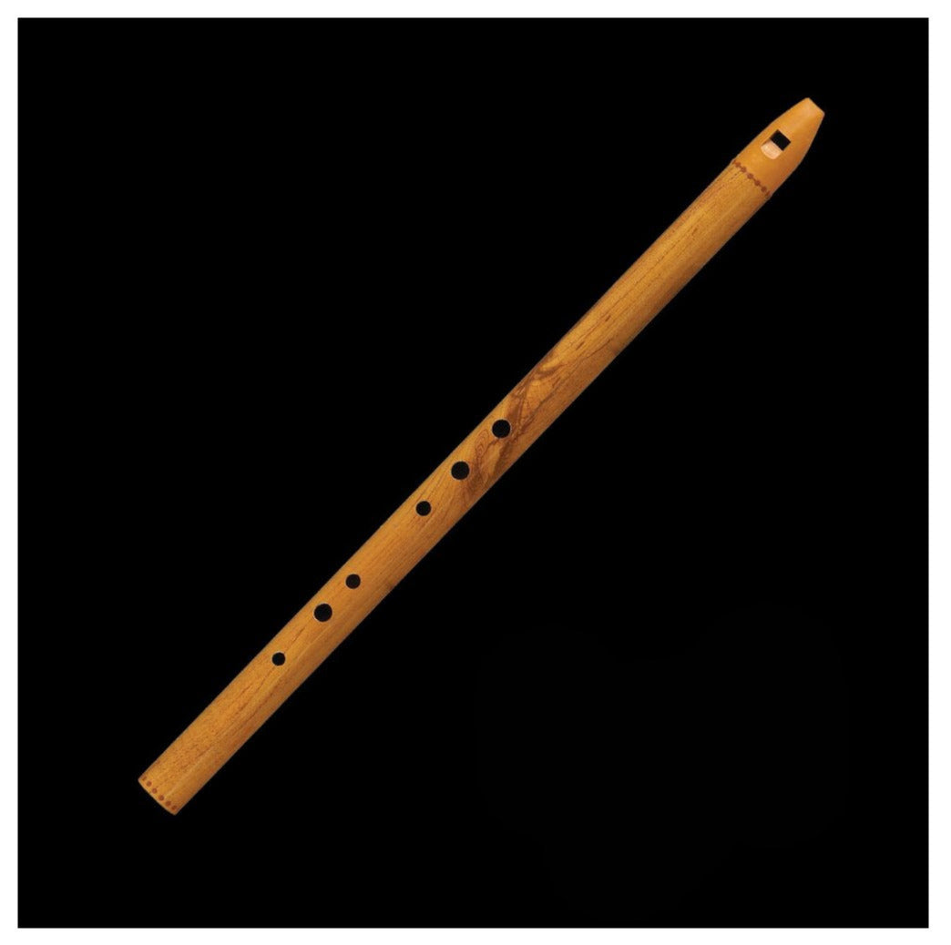 Flûte Irlandaise/ Irish Whistle, flûte irlandaise en bois et fibres, simple et solidement conçue, idéale pour jouer de la musique irlandaise traditionnelle !