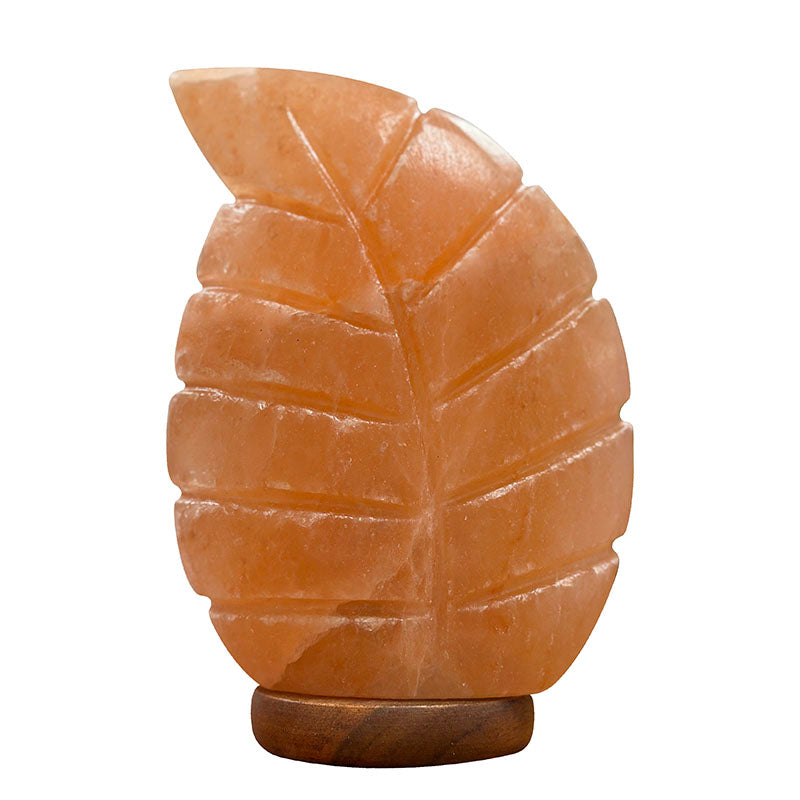 Lampe en sel en forme de Feuille avec carton blanc et système éclairage. Lampe livrée avec branchement BRLA et ampoule AMP.