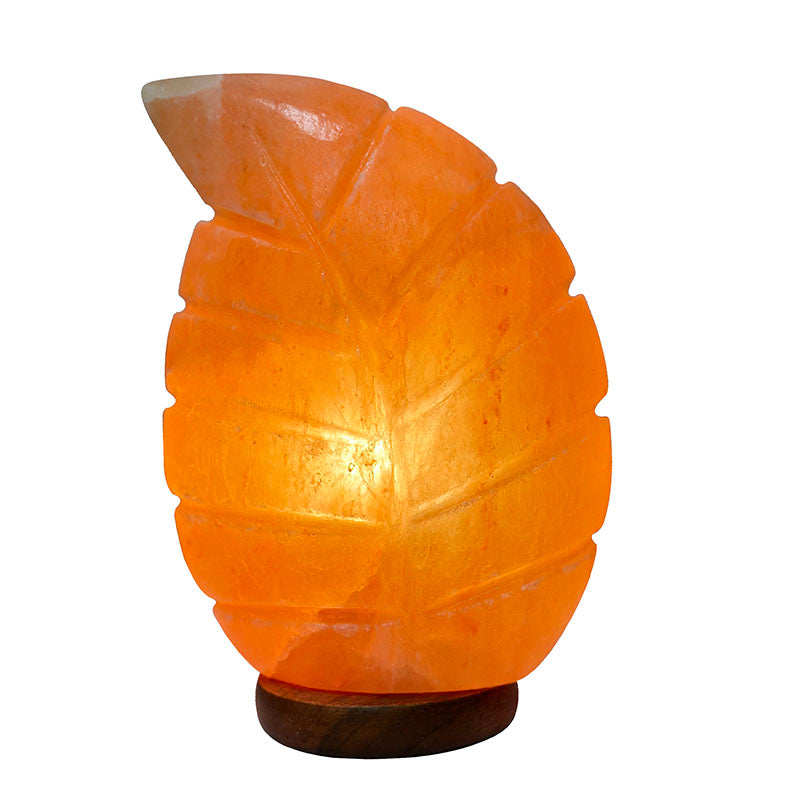 Lampe en sel en forme de Feuille avec carton blanc et système éclairage. Lampe livrée avec branchement BRLA et ampoule AMP.