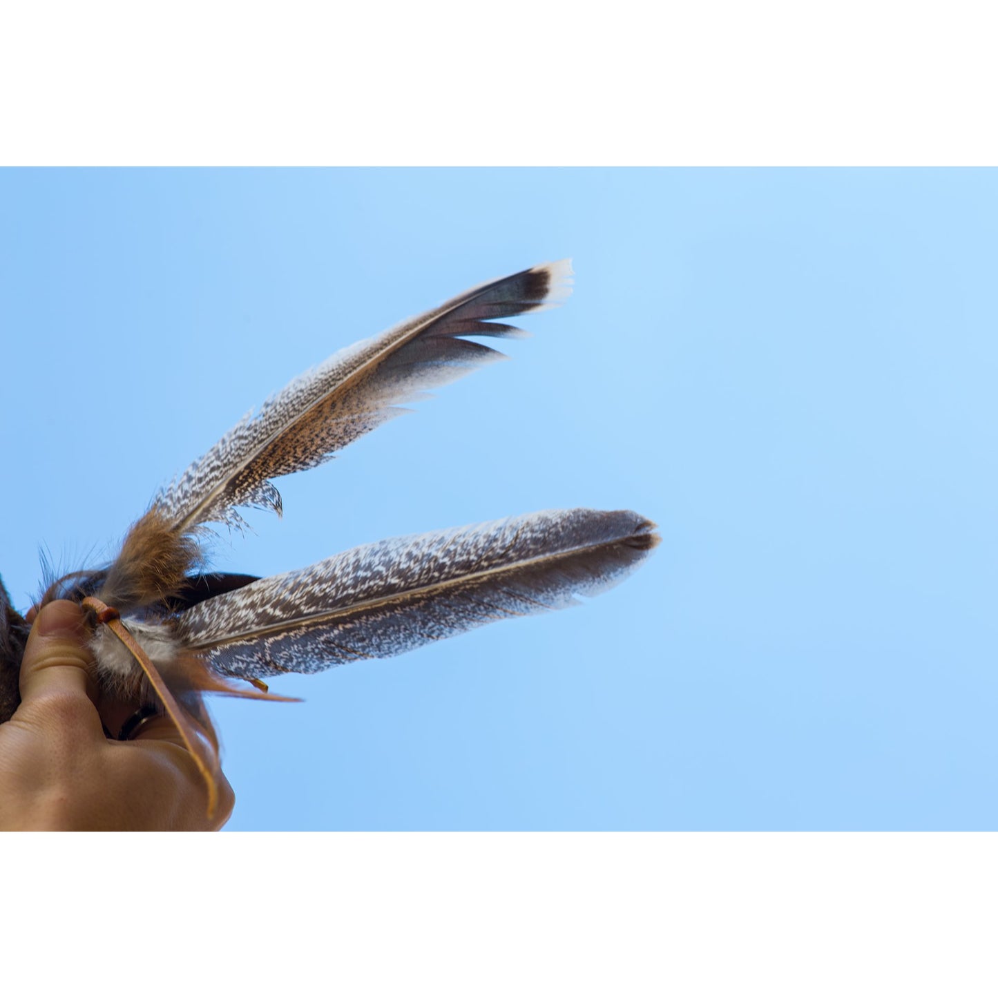 Plume de dinde avec ou sans Mandala en perle ou cuir, de 19 à 30cm, décorée et enveloppée de lanières de cuir, clair ou foncé !