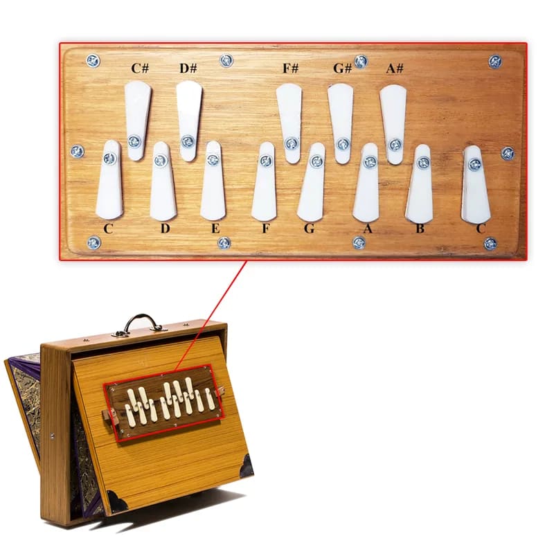 Shruti Box 'Saraswati Deluxe' 432 Hz – 1 octave de Do3 à Do4. 41×32×8,5 cm - 4,61 kg, housse incluse !