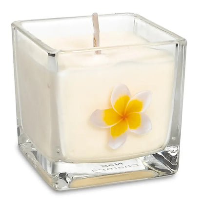 Bougie parfumée, cire de colza écologique 100% végétale (verre recyclé) avec de jolis motifs. 6x6 cm - 88 grammes - 25 heures de combustion. Fabriqué à la main en Belgique, avec des huiles parfumées sans paraben.