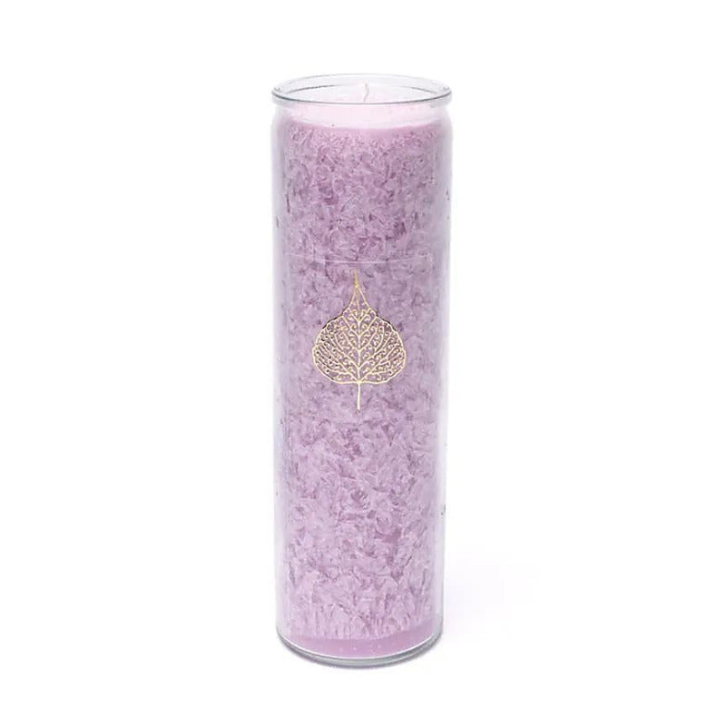 Bougie avec motif de la feuille de Bodhi - Équitable Non Parfumée en Cire de Palme Durable – Verre recyclé - 21 cm