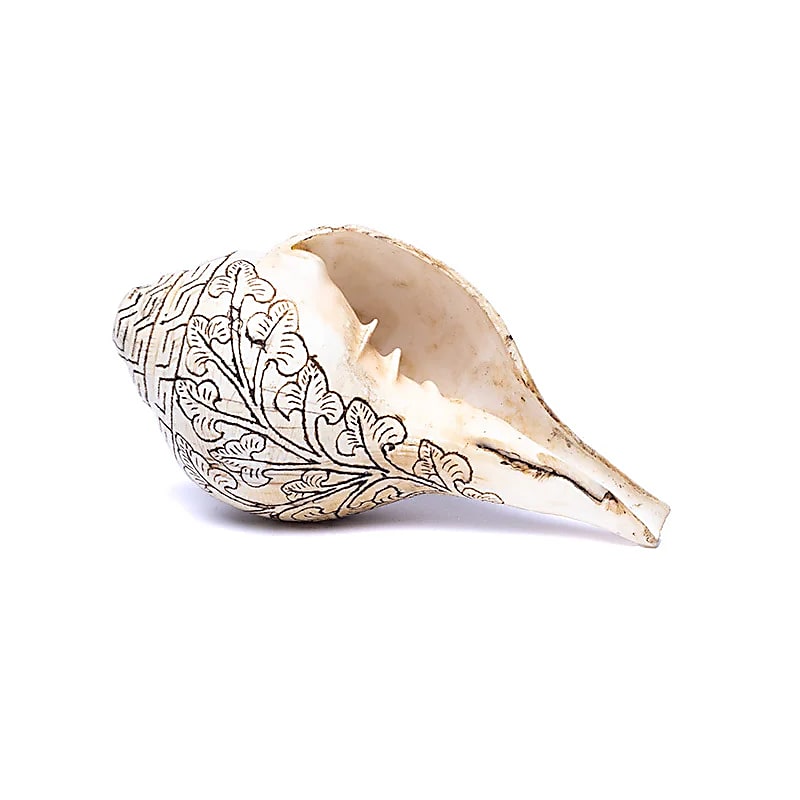 🐚 Incroyable Conque du Népal – 10 x 6 x 5 cm – Magnifique gravure du double Dorge (Vajra) – Pièce authentique et artisanale !