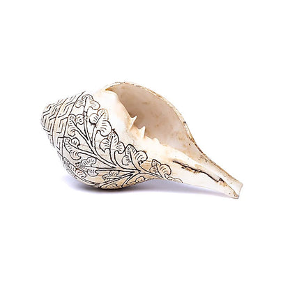 🐚 Incroyable Conque du Népal – 10 x 6 x 5 cm – Magnifique gravure du double Dorge (Vajra) – Pièce authentique et artisanale !