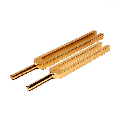 Diapasons DO & SOL - C & G pour tout le corps - SET de 2 diapasons
