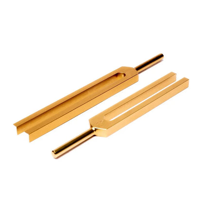 Diapasons DO & SOL - C & G pour tout le corps - SET de 2 diapasons