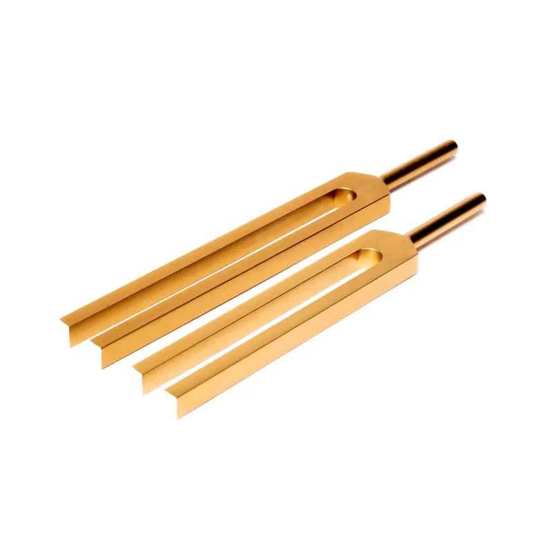 Diapasons DO & SOL - C & G pour tout le corps - SET de 2 diapasons