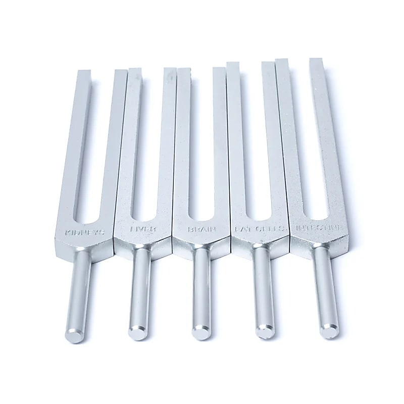 Set 'Organes Humains' de 15 diapasons, en aluminium anodisé finition Argent. Livré dans 1 pochette en velours bleu !