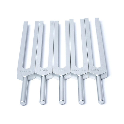 Set 'Organes Humains' de 15 diapasons, en aluminium anodisé finition Argent. Livré dans 1 pochette en velours bleu !