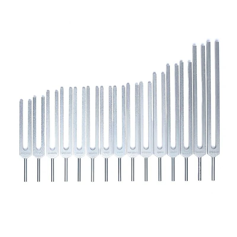 Set 'Organes Humains' de 15 diapasons, en aluminium anodisé finition Argent. Livré dans 1 pochette en velours bleu !