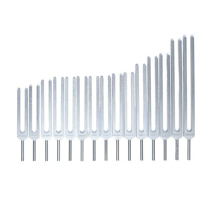 Set 'Organes Humains' de 15 diapasons, en aluminium anodisé finition Argent. Livré dans 1 pochette en velours bleu !