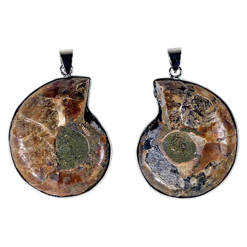 Beautiful Ammonite fossil pendant with a metal (brass) structure. Approximately 3.5 centimeters in diameter! Sold with or without a black cord and adjustable by 60 cm!