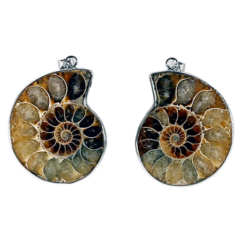 Beautiful Ammonite fossil pendant with a metal (brass) structure. Approximately 3.5 centimeters in diameter! Sold with or without a black cord and adjustable by 60 cm!