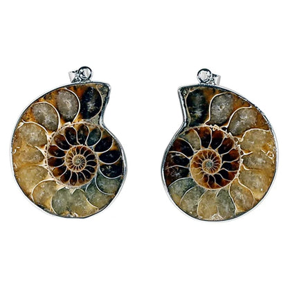 Beautiful Ammonite fossil pendant with a metal (brass) structure. Approximately 3.5 centimeters in diameter! Sold with or without a black cord and adjustable by 60 cm!