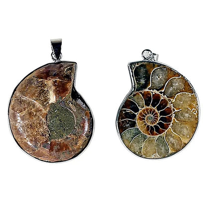 Beautiful Ammonite fossil pendant with a metal (brass) structure. Approximately 3.5 centimeters in diameter! Sold with or without a black cord and adjustable by 60 cm!