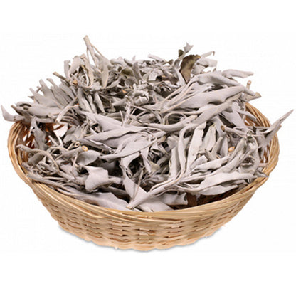 Sauge blanche (Savia Apiana) vendu en vrac par 250 - 500 ou 1000 gr. - 100% naturelle !