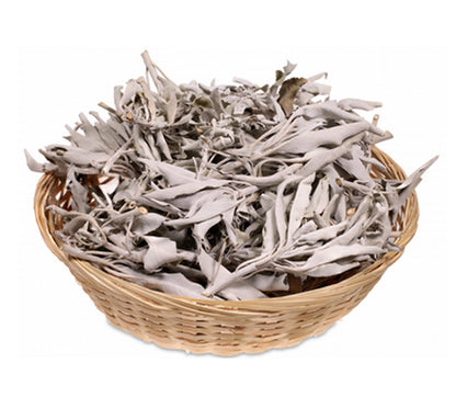 Sauge blanche (Savia Apiana) vendu en vrac par 250 - 500 ou 1000 gr. - 100% naturelle !