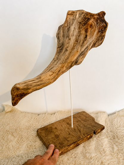 Sculpture en bois flotté de Loire : 'Tête D'Éléphant' - 52 cm de hauteur × 41 × 21 - Création Zen Curiosity