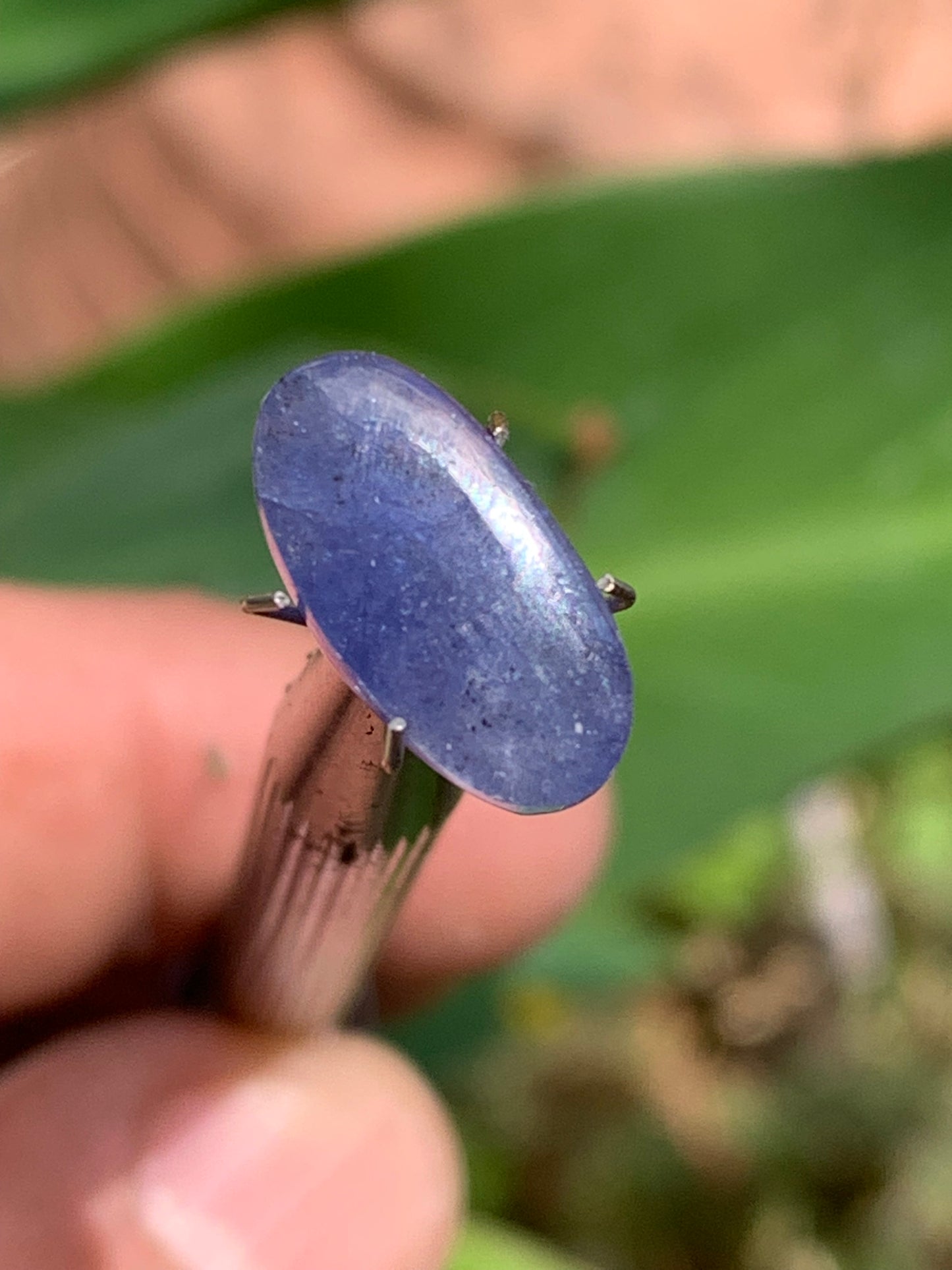 Cyanite disthène, cabochon de 15 mm x 8 x 4 - 5 carats