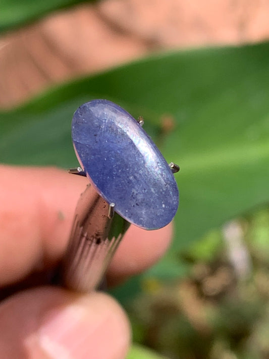 Cyanite disthène, cabochon de 15 mm x 8 x 4 - 5 carats