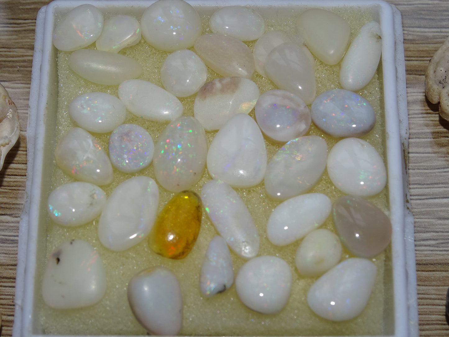 Opale Welo d’Éthiopie, les plus belles des opales. Incroyable reflets multicolore, superbes pièces, parfait pour vos créations, collections, exposition...!