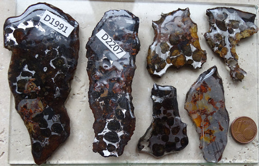 Sélection de météorites 'Pallasite Sericho' – de 6 à 40 g – Magnifiques inclusions de grands cristaux d’olivine !