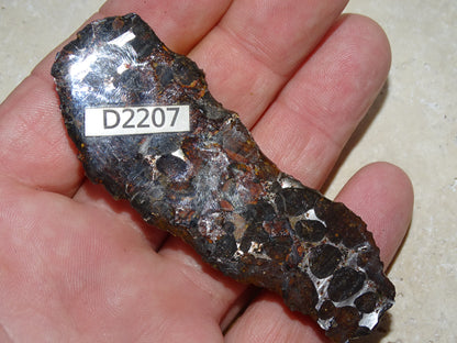 Sélection de météorites Pallasites Sericho, de 6 à 40 gr. Se distinguent par la présence de gros cristaux d'olivine en inclusion dans la matrice, magnifique !