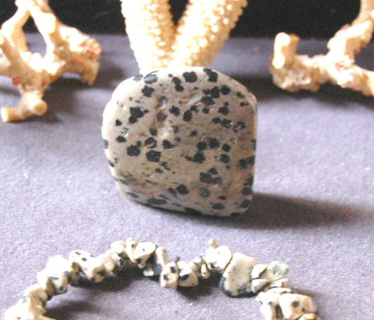 Jaspe Dalmatien - Spécimen brut de 40 x 40 x 15mm - 24 grammes ! Très joli pierre à exposer !