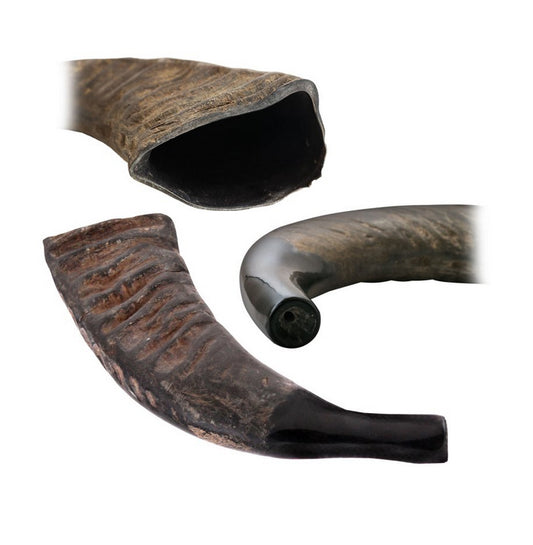 Buffalo or ox horn horn, 2 models to choose from, also called Tuva. A powerful, penetrating and sustained sound! 