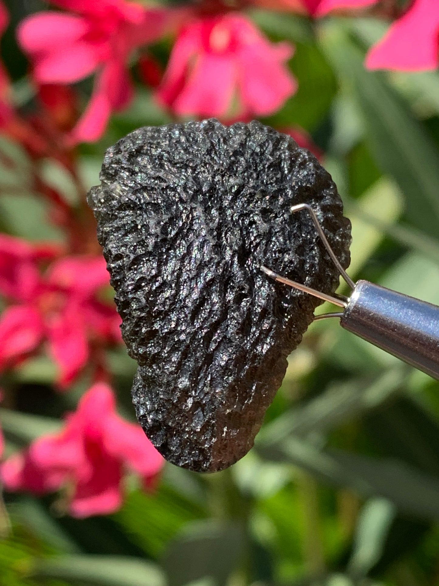 Moldavite/ Tectite verte authentique, de 33mm x 23 x 11 - 7,8 grammes. Le must en matière de pierre de la famille des météorites et tectites. Fascinant, envoutant, hypnotisant !