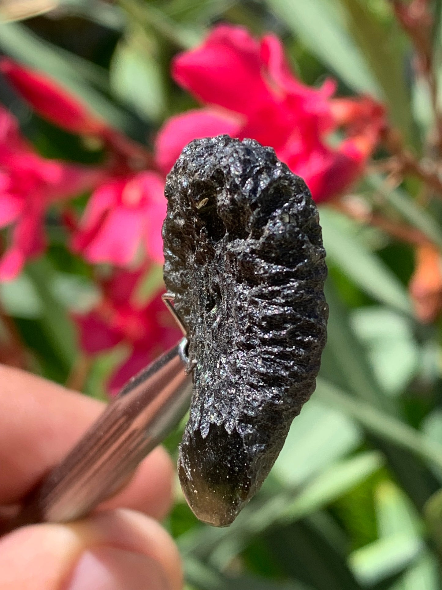 Moldavite/ Tectite verte authentique, de 33mm x 23 x 11 - 7,8 grammes. Le must en matière de pierre de la famille des météorites et tectites. Fascinant, envoutant, hypnotisant !